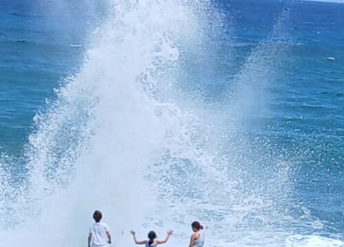 Explore Grand Cayman’s Hidden Gems with Brown Sugar Tours